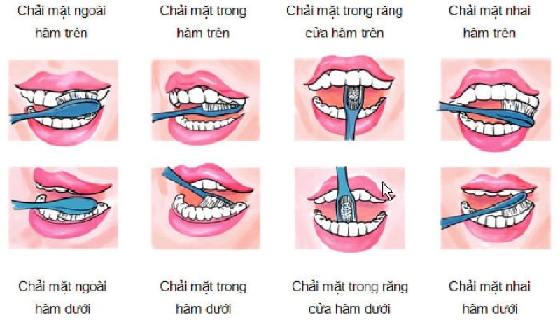 Những quy tắc trong cách đánh răng hằng ngày